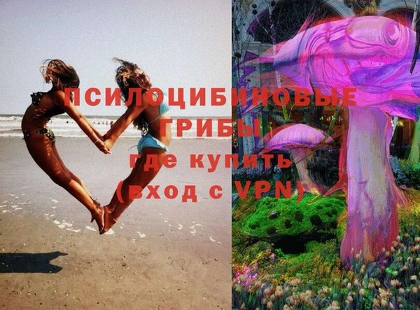 тгк Белокуриха