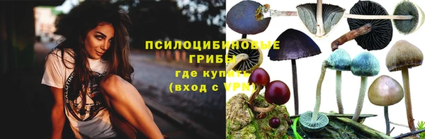 тгк Белокуриха