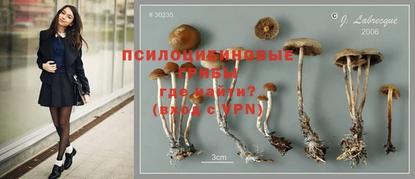 тгк Белокуриха