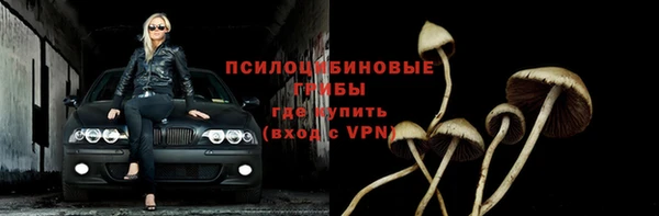 тгк Белокуриха